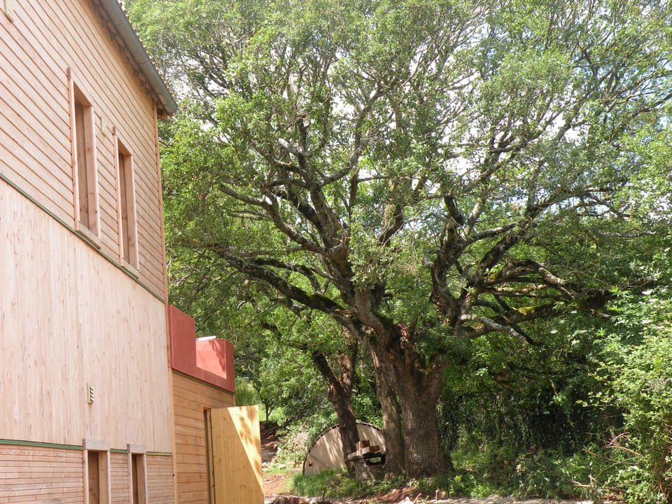 La Bergerie Baroque Bed and Breakfast in Occitanie