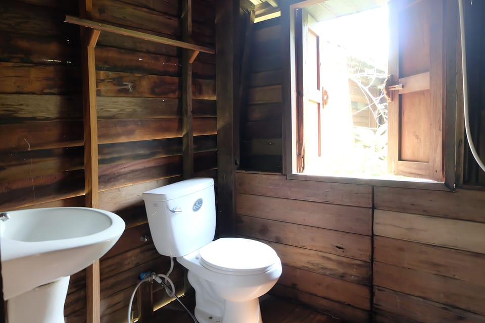 Standard Double Room | Bathroom | Shower, free toiletries, towels