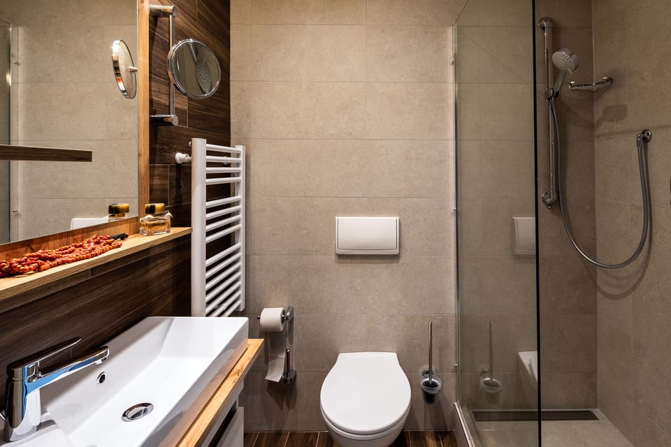 Shower, hair dryer, towels