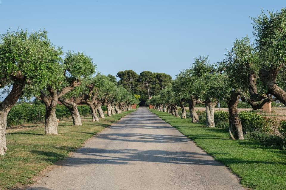 Winery