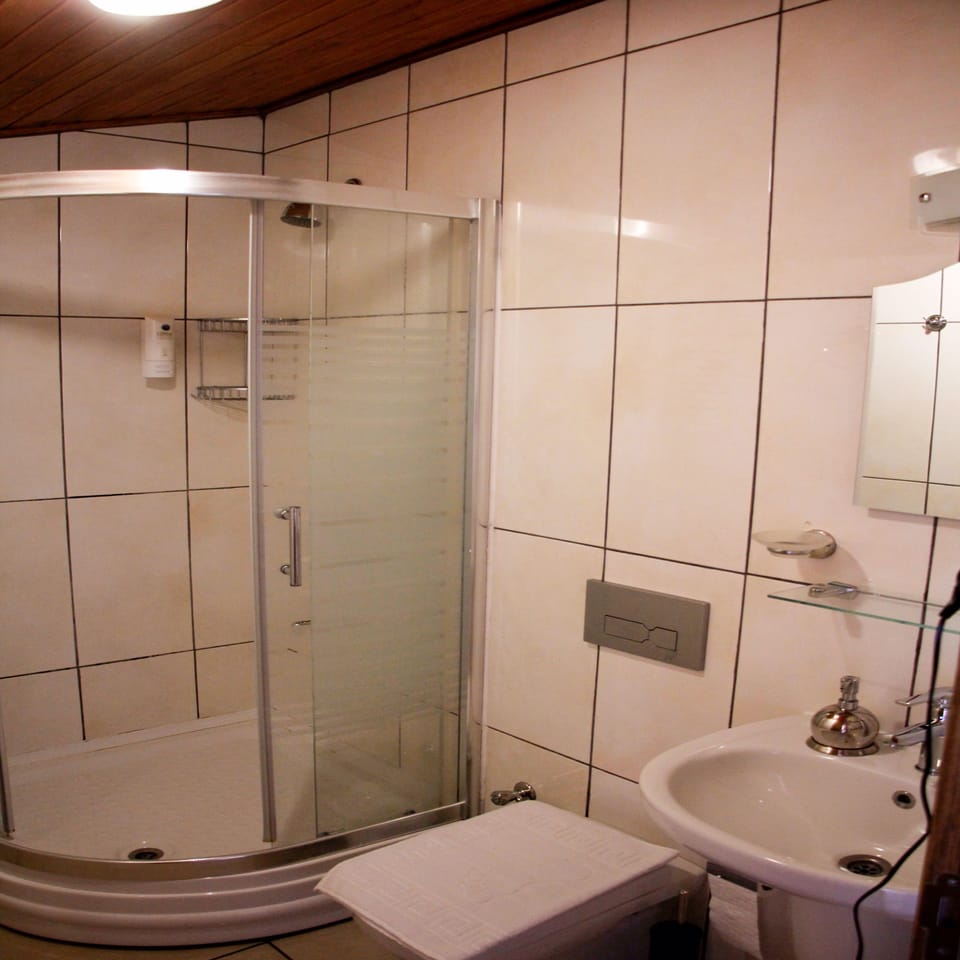 Shower, free toiletries, hair dryer, slippers