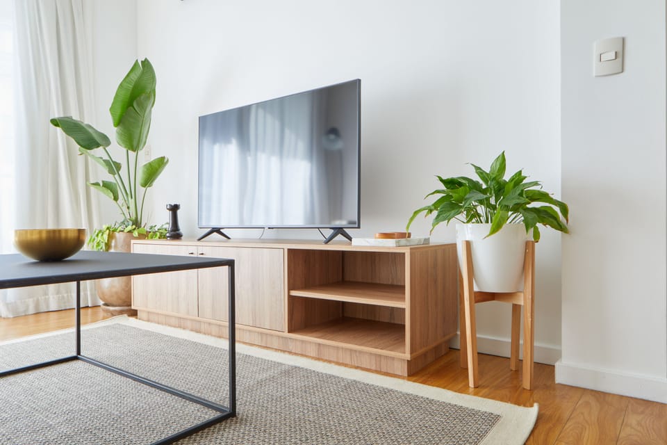 Television