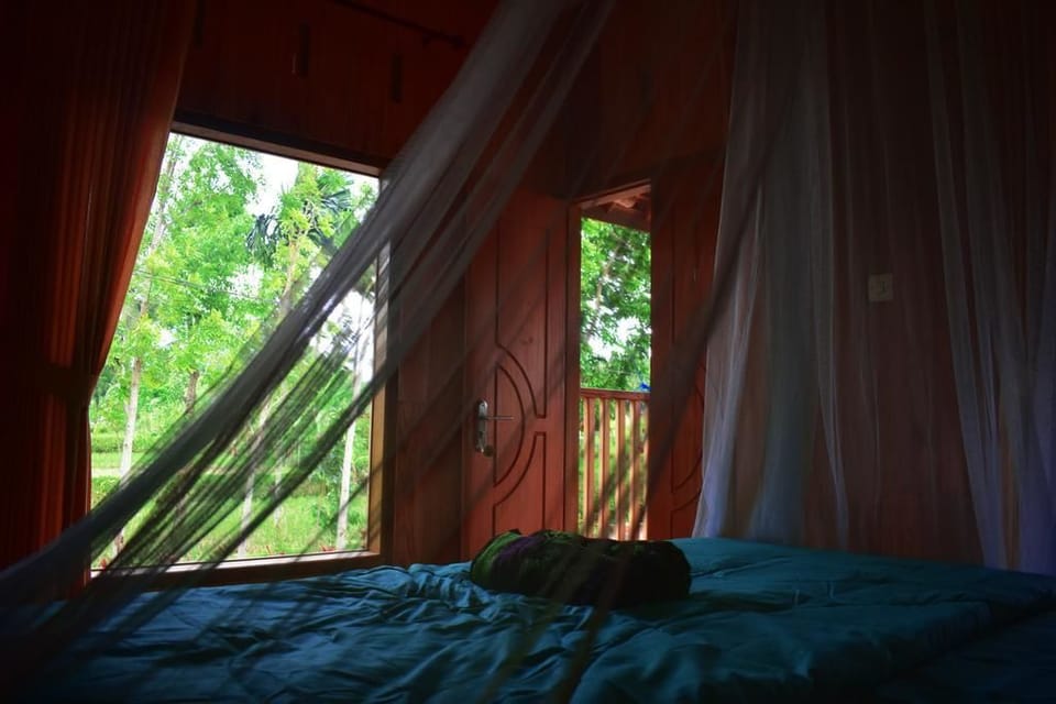 Double Room | View from room