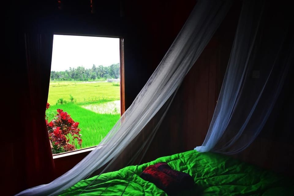 Double Room | View from room