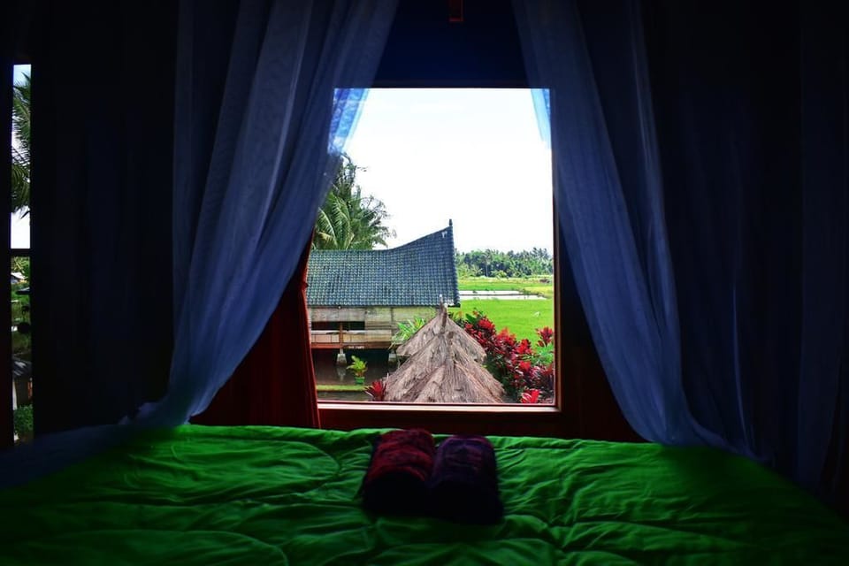 Double Room | View from room