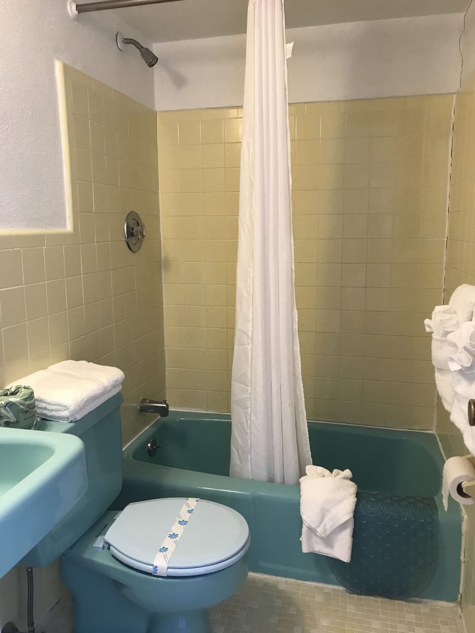 Combined shower/tub, free toiletries, hair dryer (on request), towels
