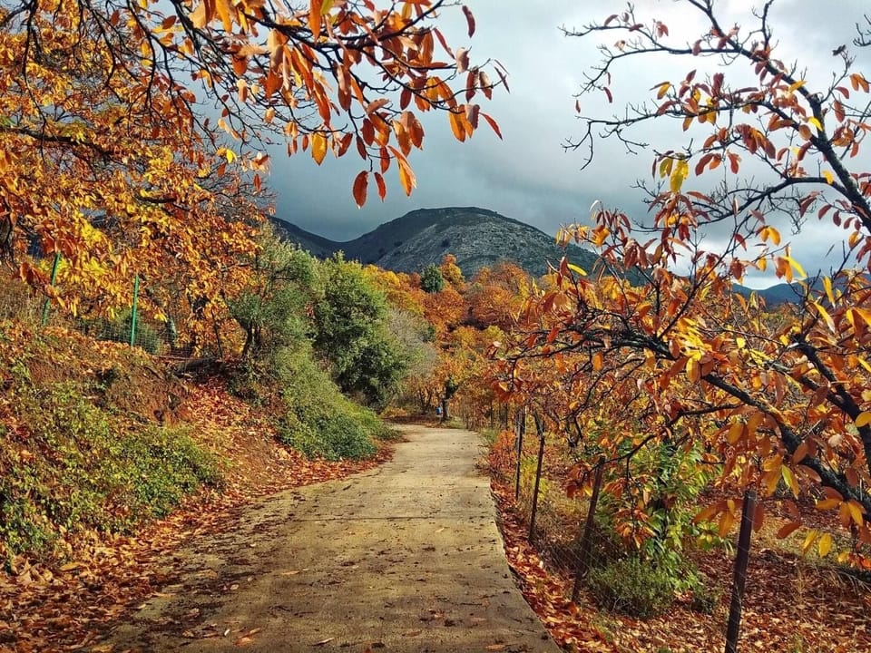 Hiking