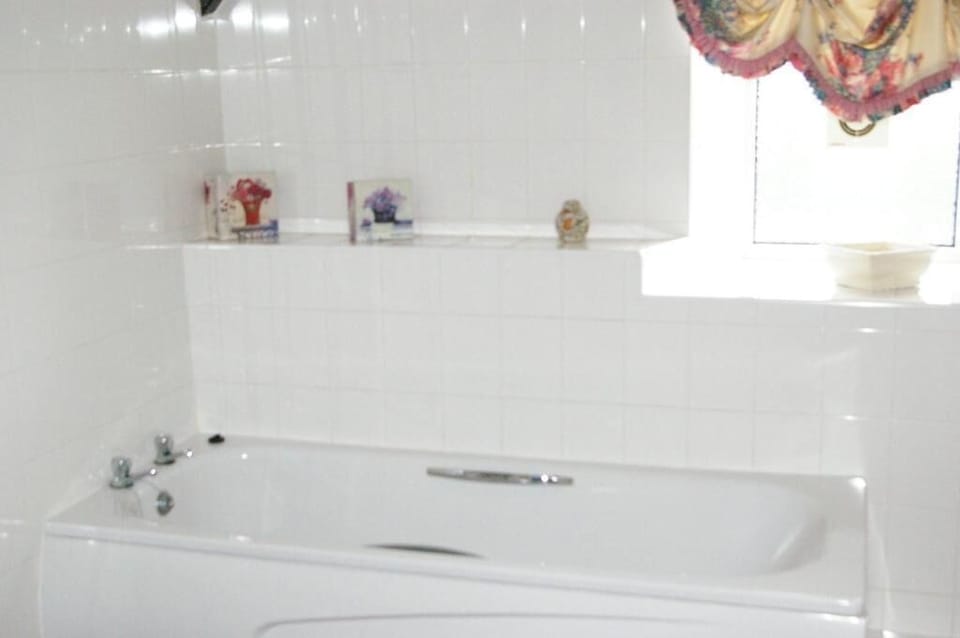 Family Room | Bathroom | Free toiletries, hair dryer, towels