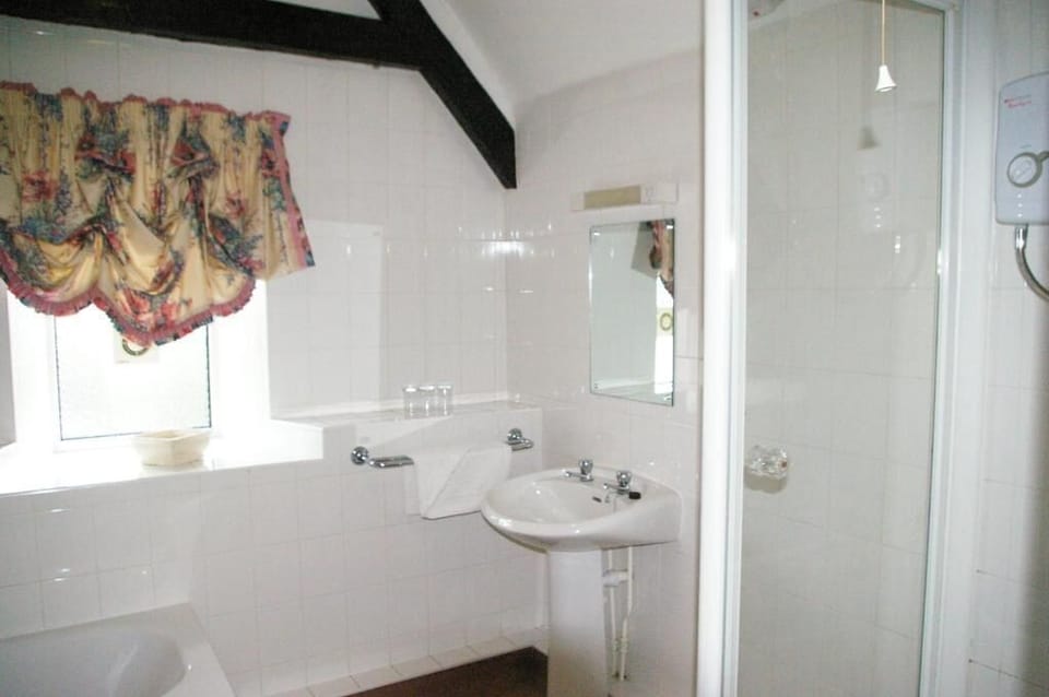Family Room | Bathroom | Free toiletries, hair dryer, towels