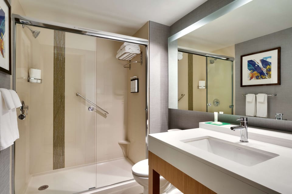 Designer toiletries, hair dryer, towels