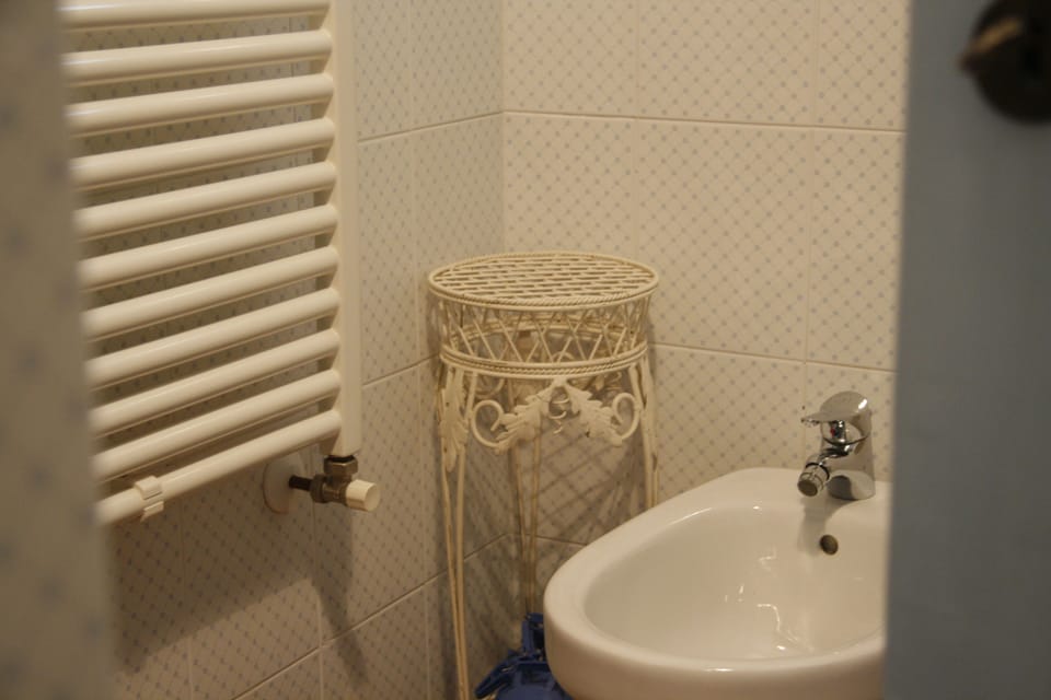 Double or Twin Room, Garden View | Bathroom amenities | Shower, free toiletries, hair dryer, bidet