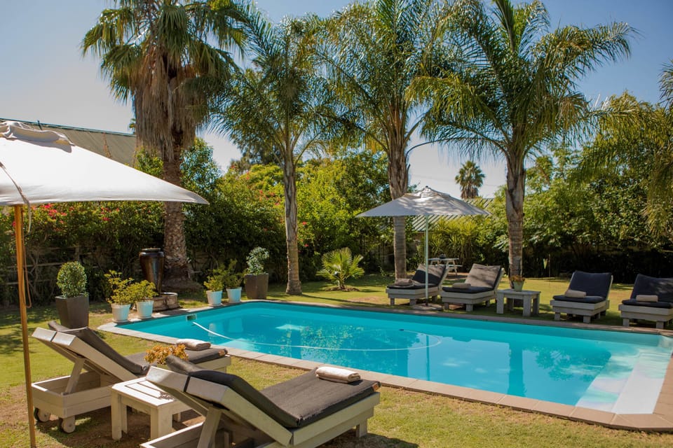 Outdoor pool, sun loungers