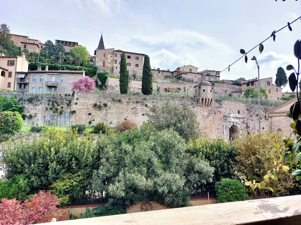Deluxe Double Room | Terrace/patio