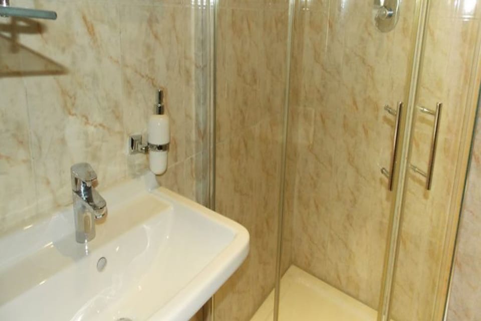 Business Double Room | Bathroom | Shower, free toiletries, towels