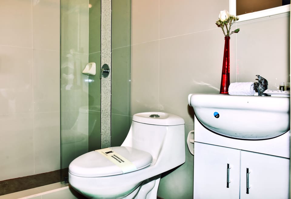 Standard Double Room | Bathroom | Shower, free toiletries, towels