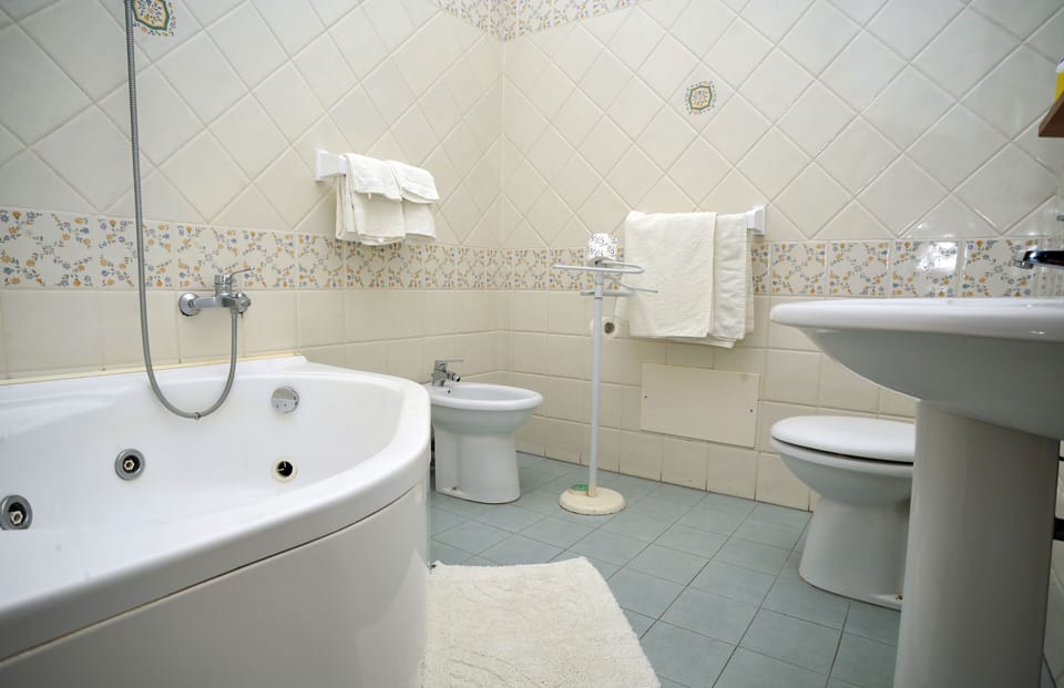 Shower, free toiletries, hair dryer, bidet