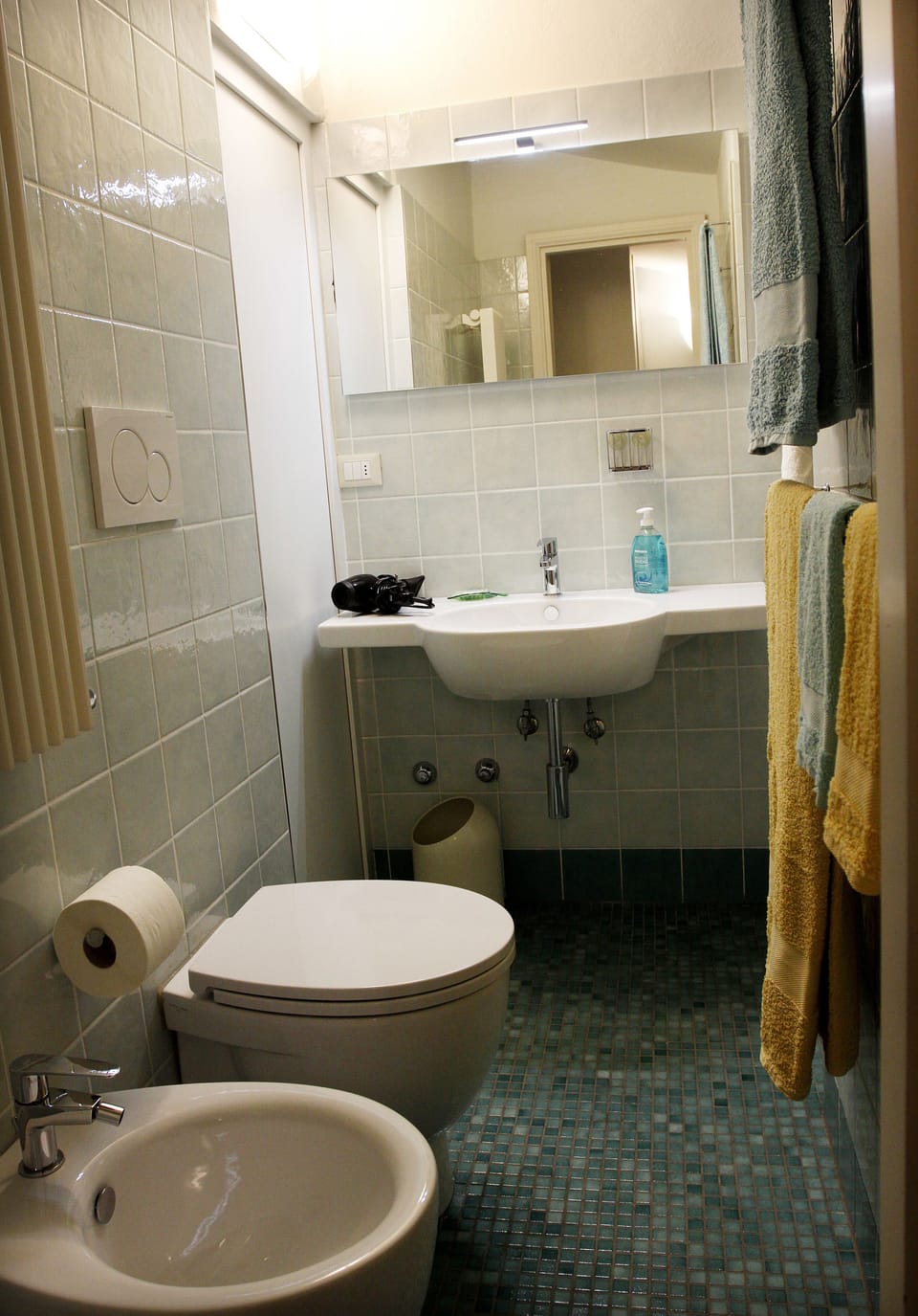 Shower, free toiletries, hair dryer, bidet