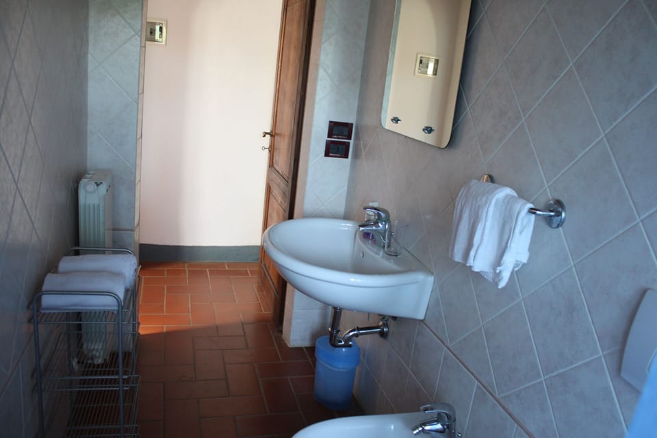 Double Room | Bathroom | Shower, free toiletries, hair dryer, bidet
