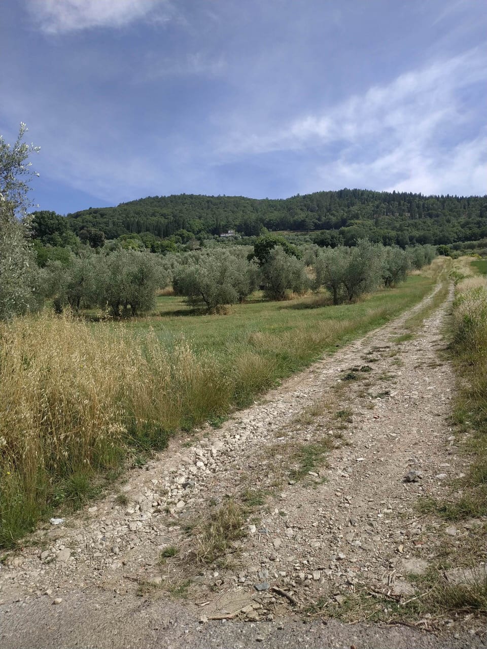 Hiking