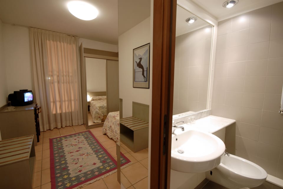 Single Room | Bathroom | Shower, hair dryer, bidet, towels