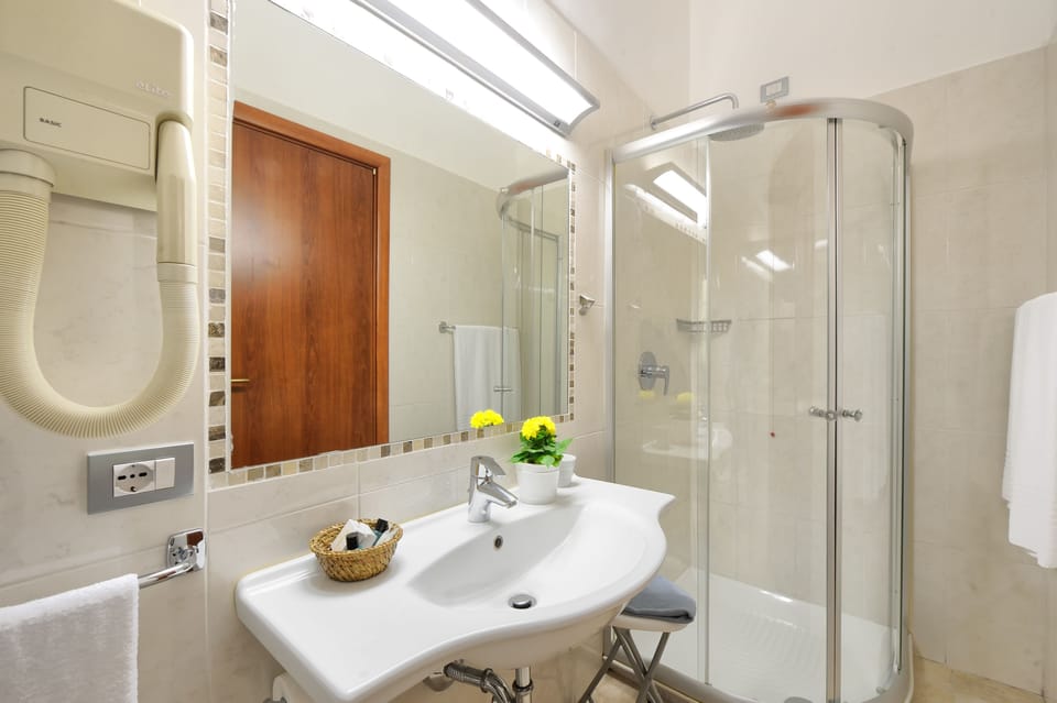 Shower, free toiletries, bidet, towels