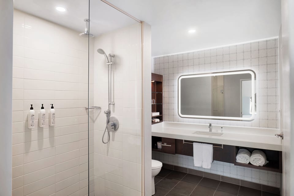 Combined shower/tub, free toiletries, hair dryer, towels