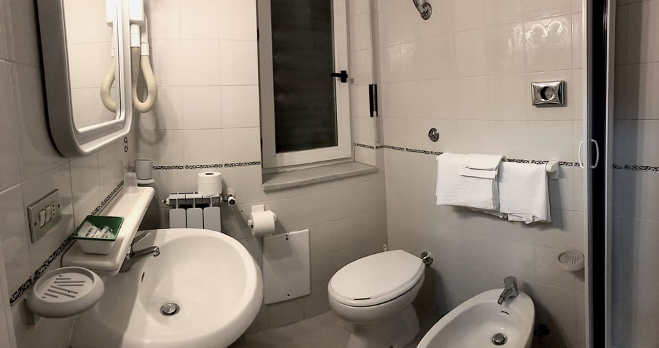 Shower, hair dryer, bidet