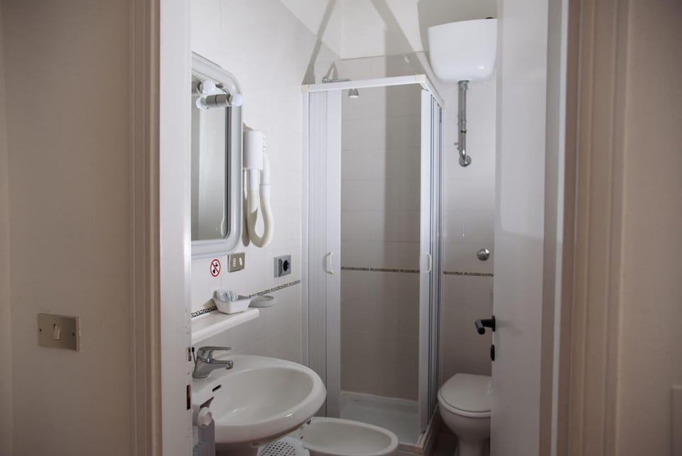 Shower, hair dryer, bidet