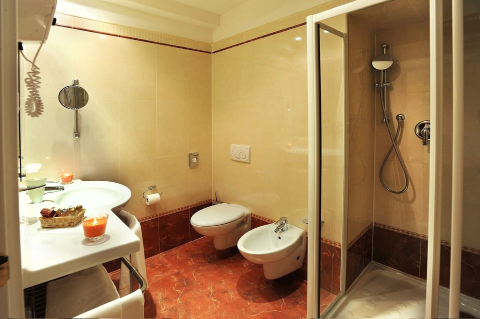 Hair dryer, slippers, bidet, towels