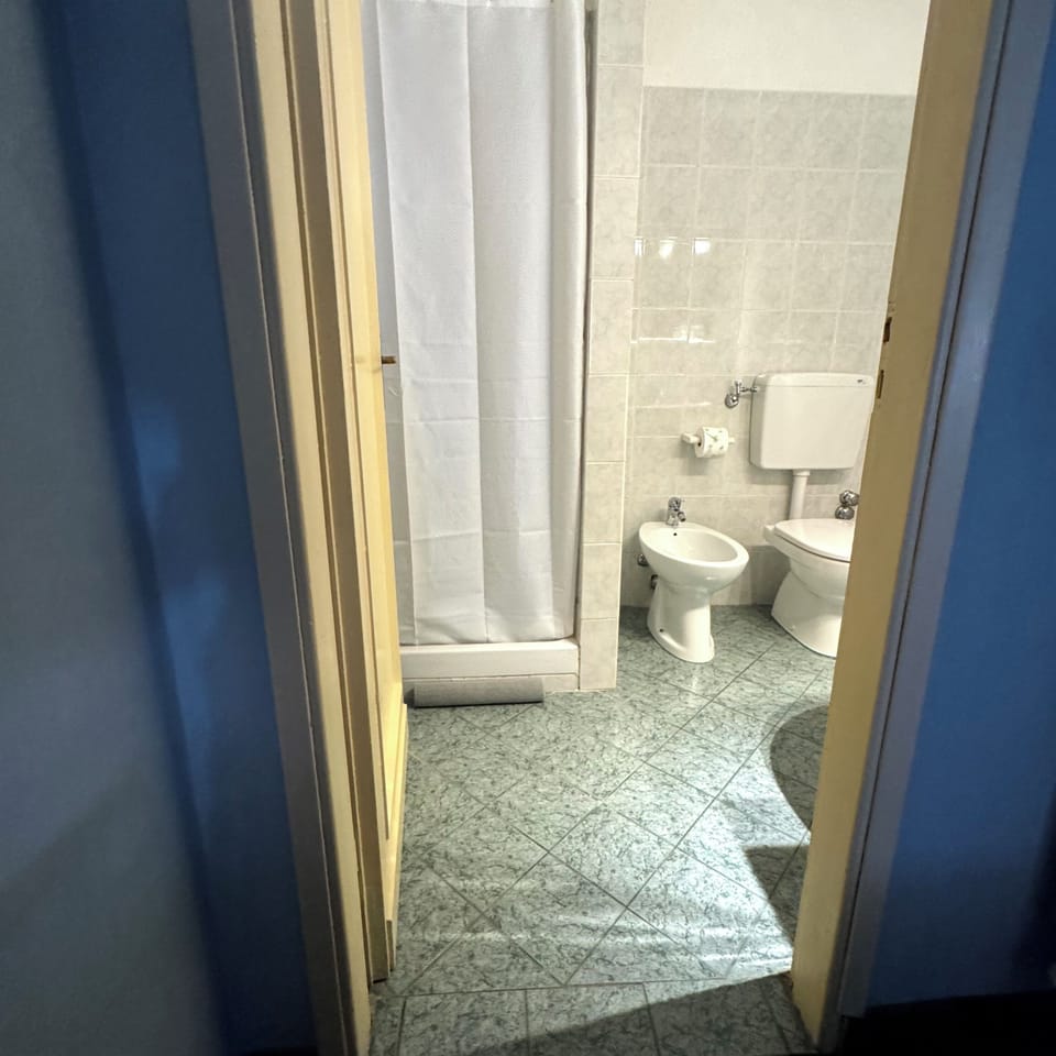 Standard Room | Bathroom | Shower, hair dryer, towels