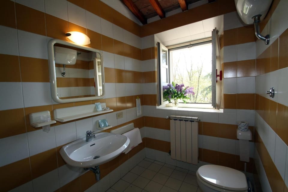 Combined shower/tub, hair dryer, bidet