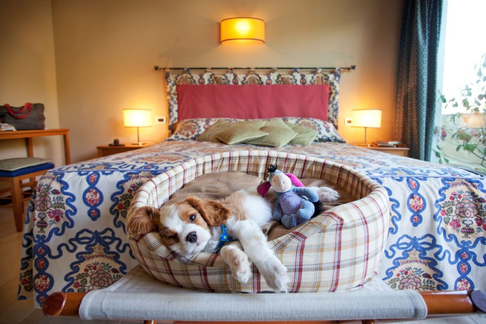 Premium bedding, down comforters, in-room safe, blackout drapes