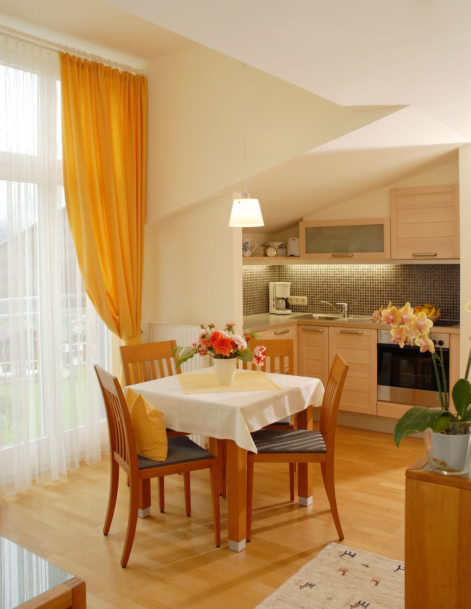 Standard Apartment (Typ C) | Private kitchenette | Full-size fridge, microwave, stovetop, dishwasher