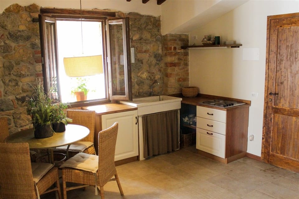 Comfort Apartment | Private kitchenette | Coffee/tea maker, highchair