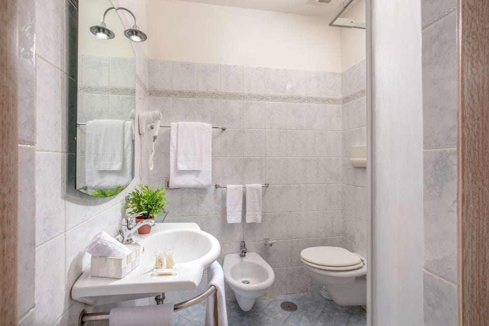 Shower, hair dryer, bidet, towels