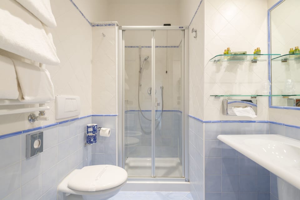 Superior Double Room | Bathroom | Shower, free toiletries, hair dryer, towels
