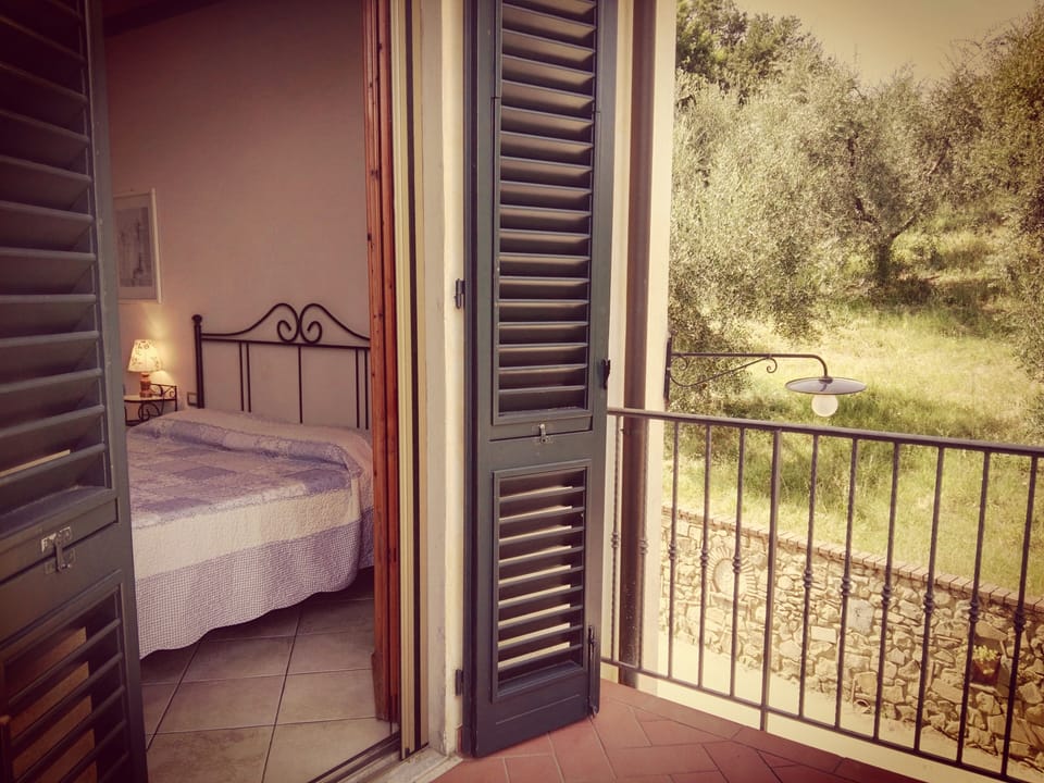 Single Room | View from room