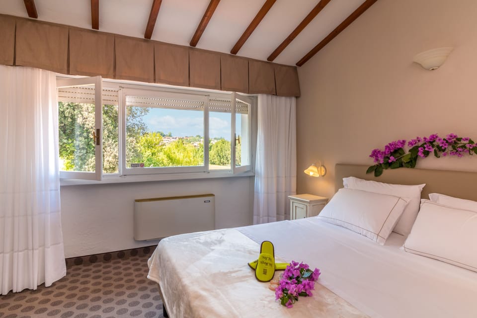 Minibar, desk, free WiFi, bed sheets