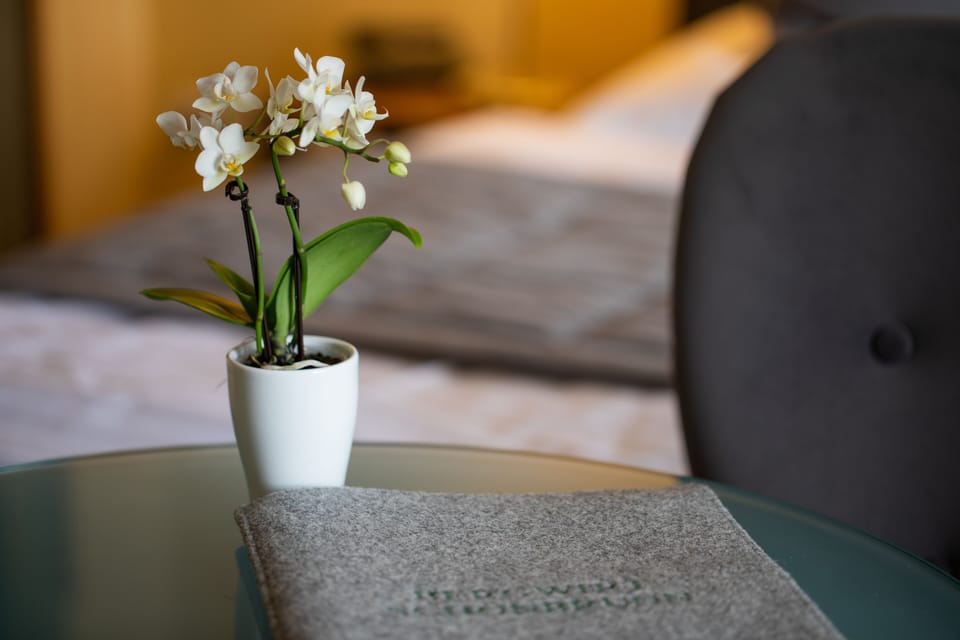 Single Room | Hypo-allergenic bedding, down comforters, minibar, in-room safe