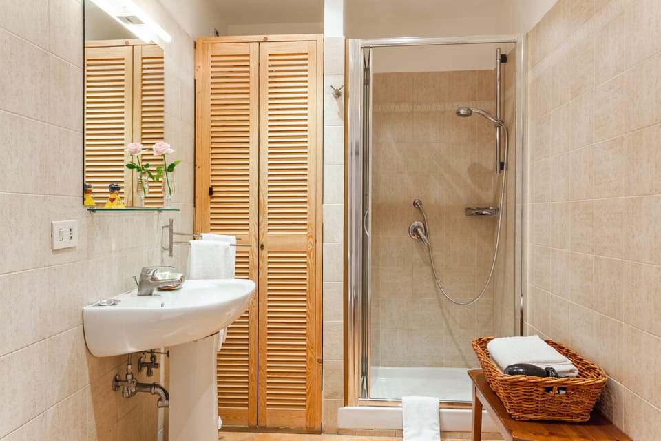 Shower, free toiletries, hair dryer, towels