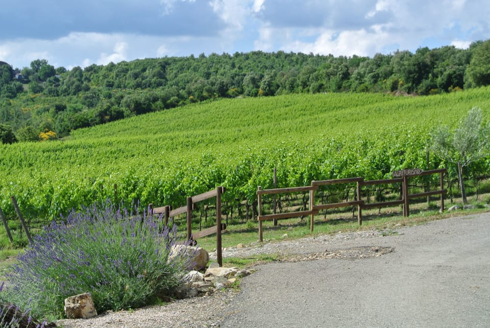 Winery