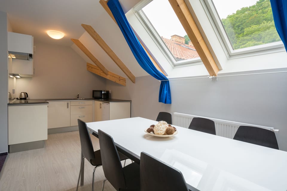 Apartment | In-room dining