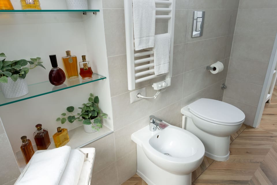 Shower, free toiletries, hair dryer, bidet