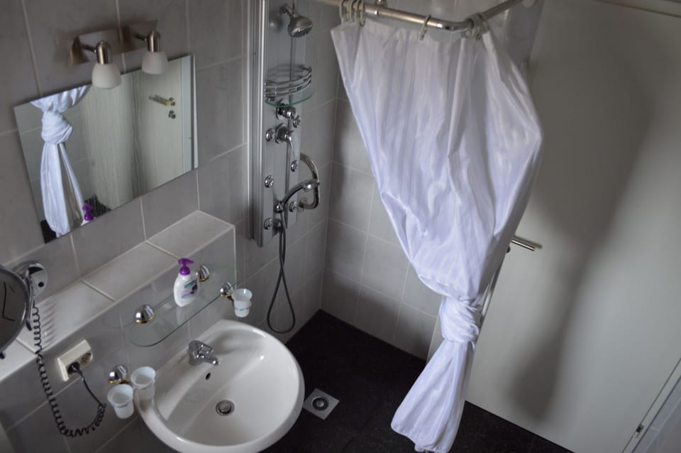 Single Room | Bathroom | Shower, hair dryer