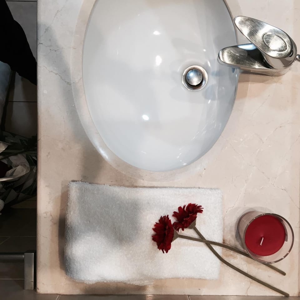 Combined shower/tub, hair dryer, bidet, towels