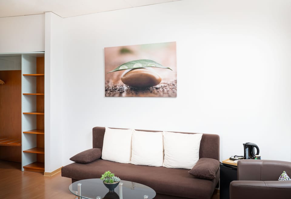 Business Double Room | Desk, soundproofing, free WiFi