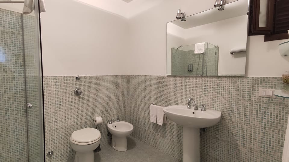 Shower, free toiletries, hair dryer, bidet