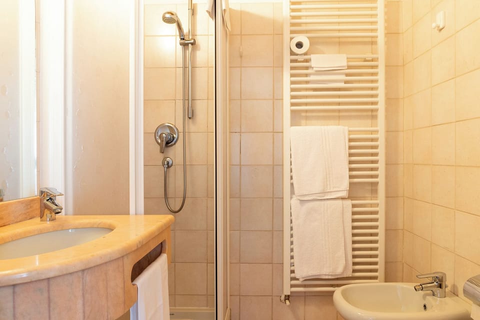 Shower, hair dryer, bidet, towels