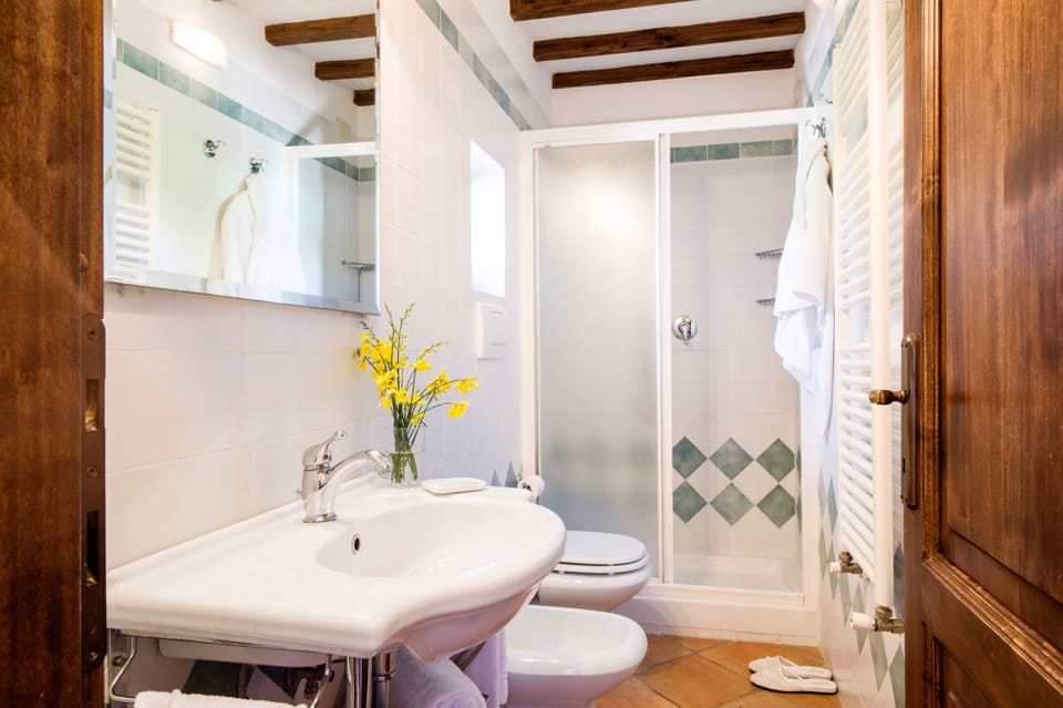 Shower, free toiletries, hair dryer, bidet
