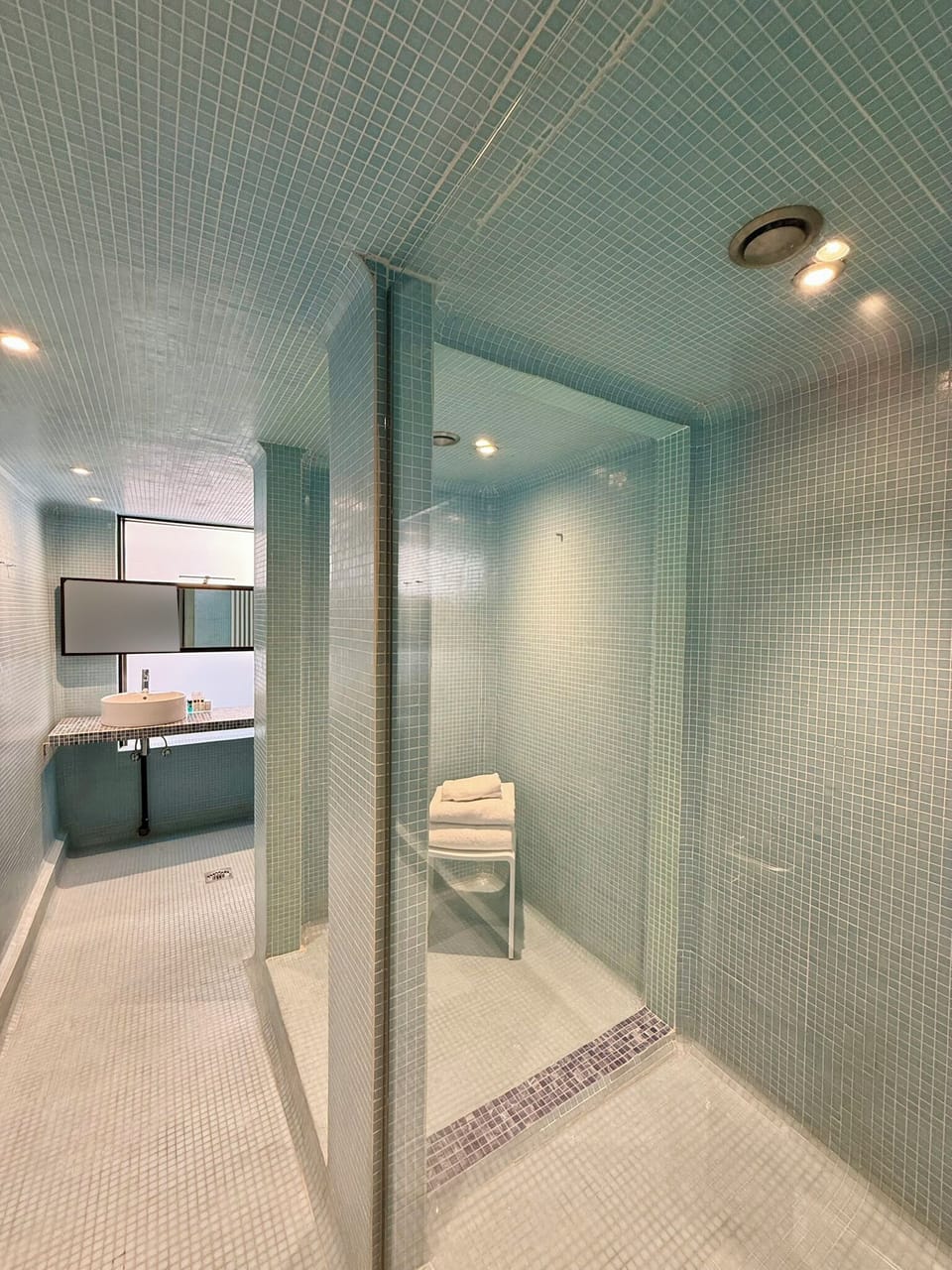 Junior Suite, 1 Queen Bed with Sofa bed (Comfort with Private Garden) | Bathroom shower